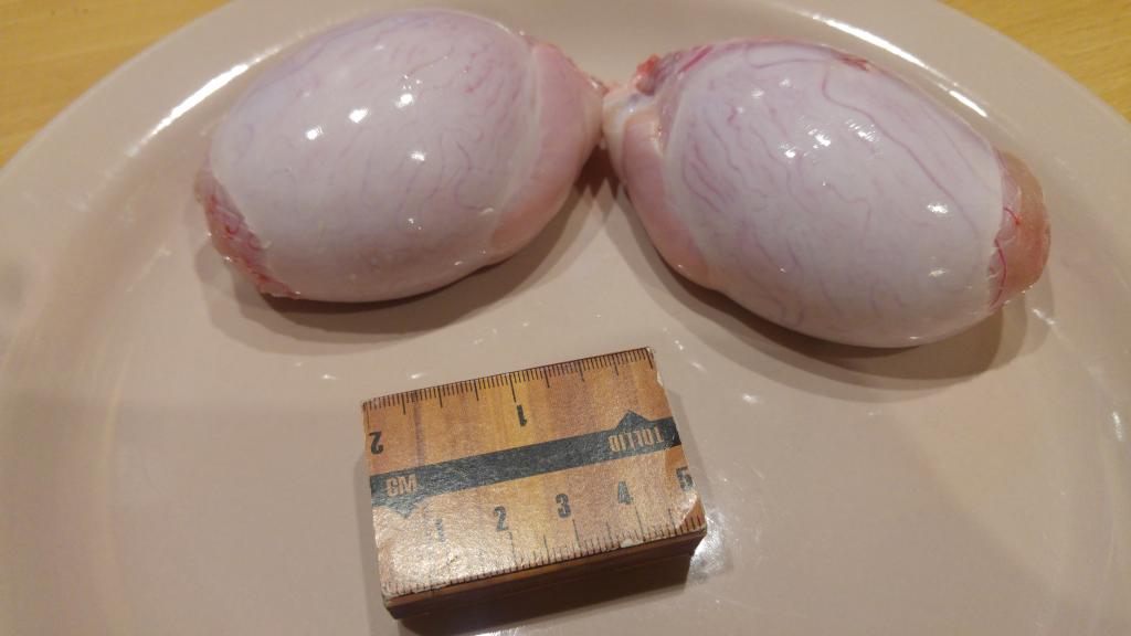 Testicles before processing