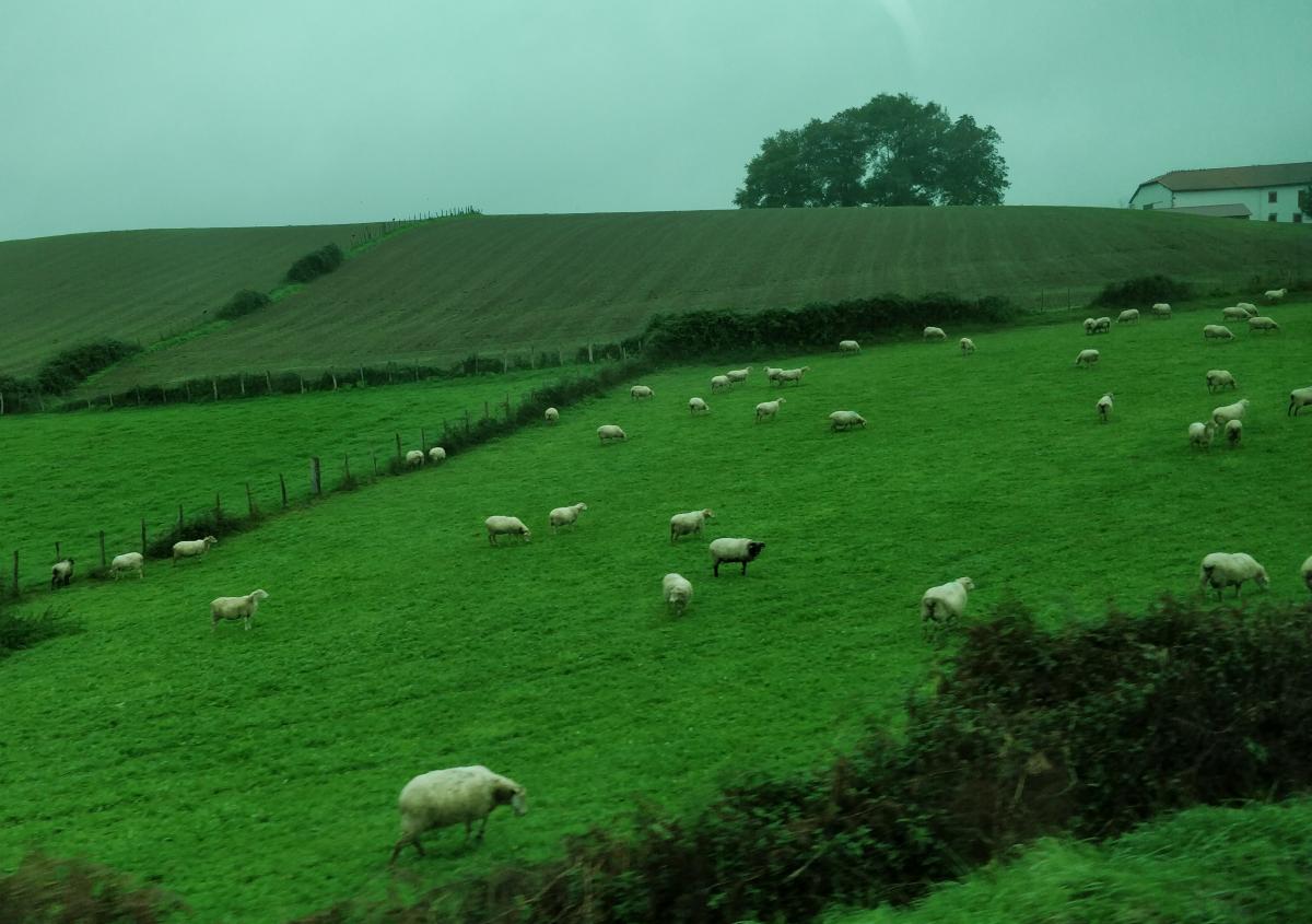 Typical Basque Landscape